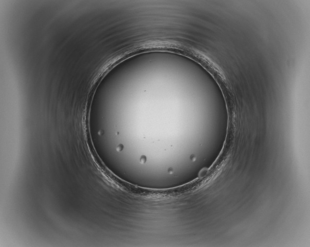 X0000116671033200912211559