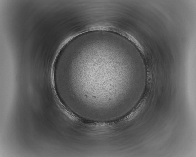 X0000116671035200912211559