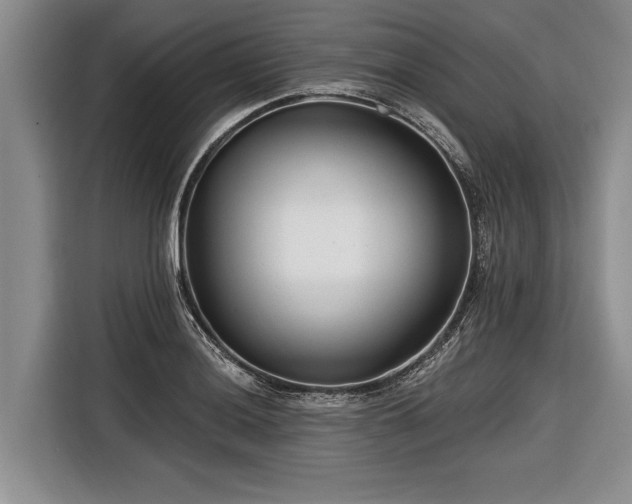 X0000116671036200912211559