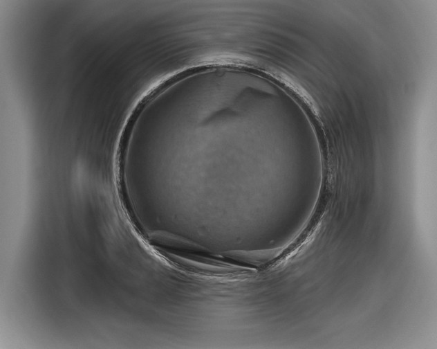 X0000116671037200912211559