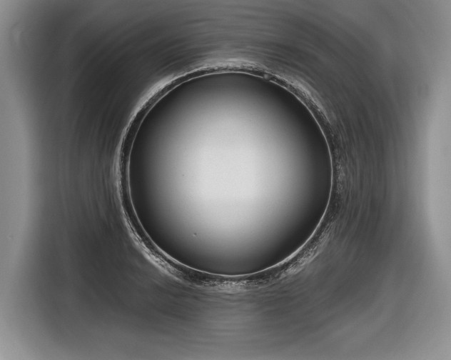 X0000116671038200912211559