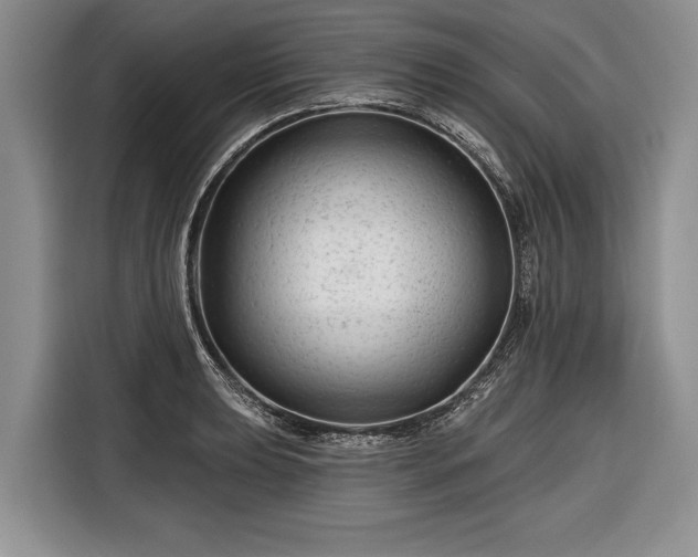 X0000116671039200912211559