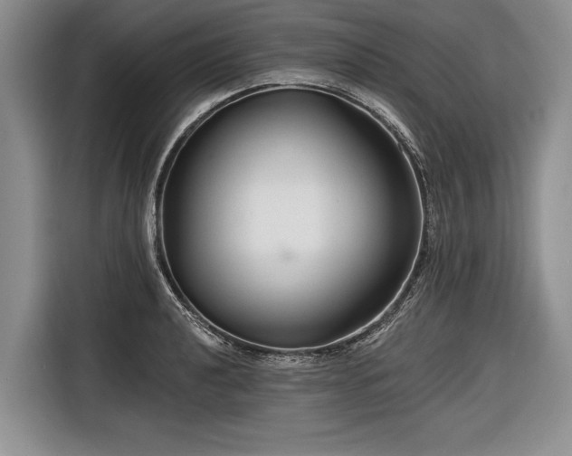 X0000116671040200912211600