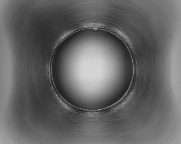 X0000116671041200912211600