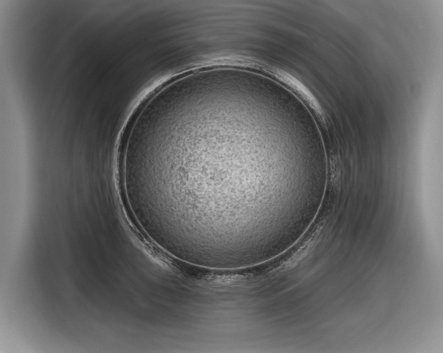 X0000116671043200912211600