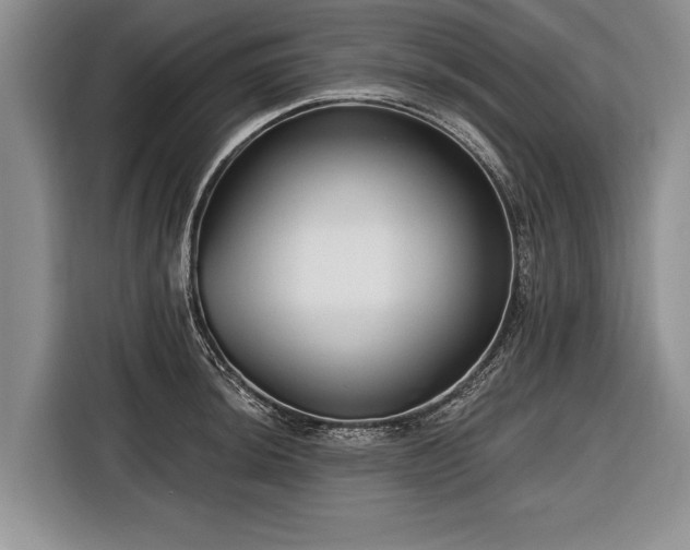 X0000116671044200912211600