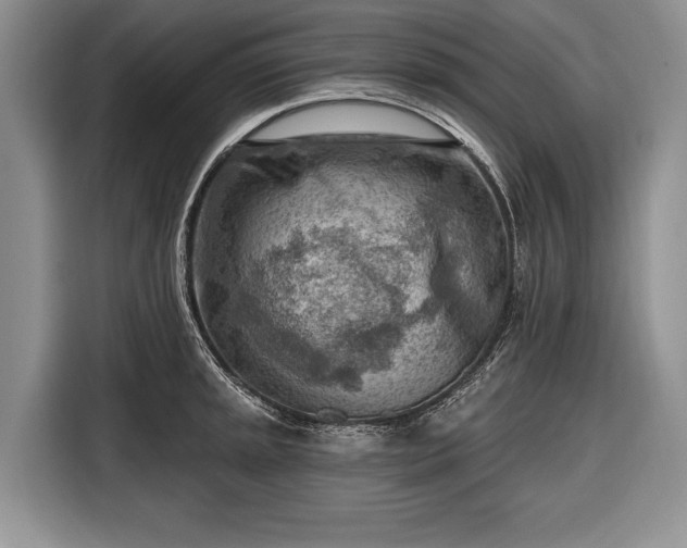 X0000116671045200912211600