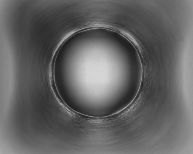 X0000116671048200912211600