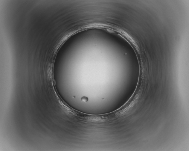 X0000116671049200912211600