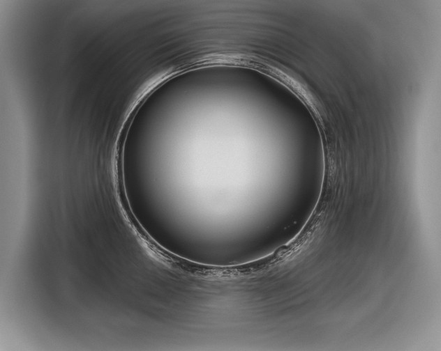 X0000116671050200912211600