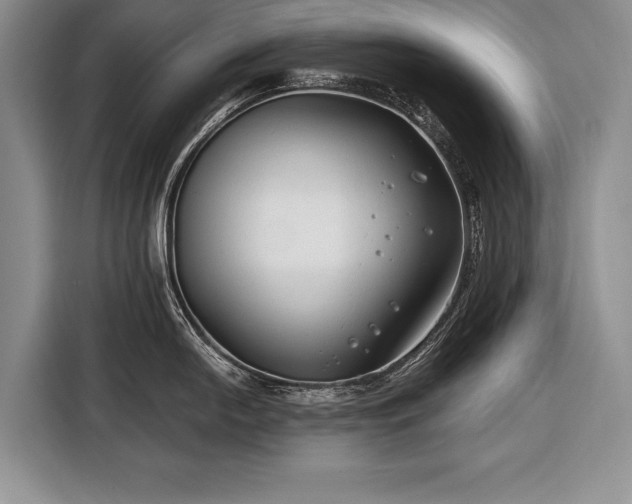 X0000116671054200912211600