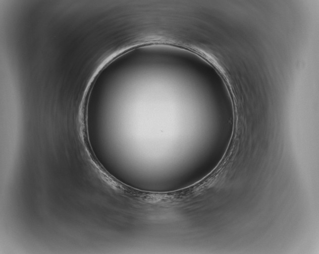 X0000116671056200912211600