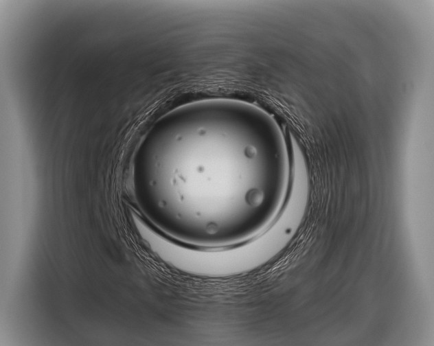 X0000116671057200912211559