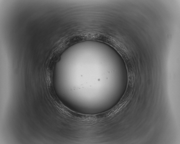 X0000116671058200912211559