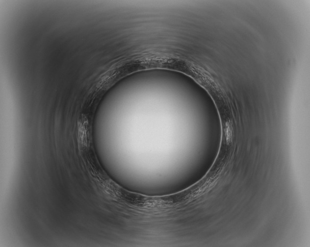 X0000116671059200912211559