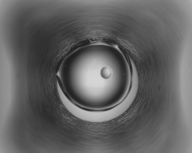 X0000116671060200912211559