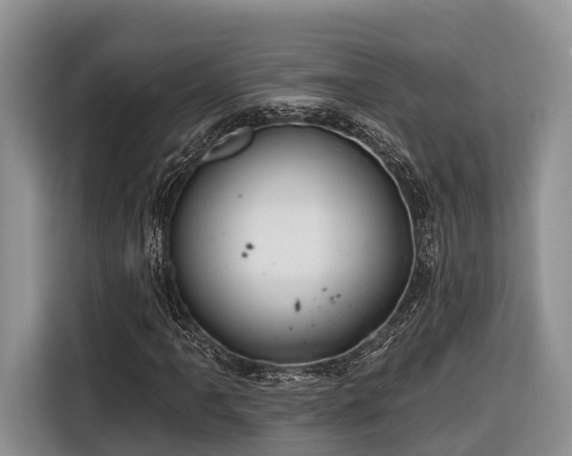 X0000116671061200912211559