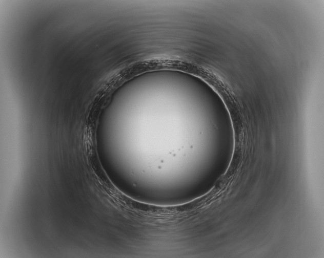 X0000116671062200912211559