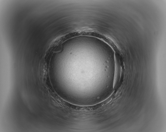 X0000116671063200912211559