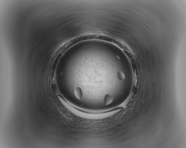 X0000116671064200912211559