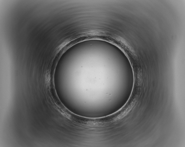 X0000116671065200912211559