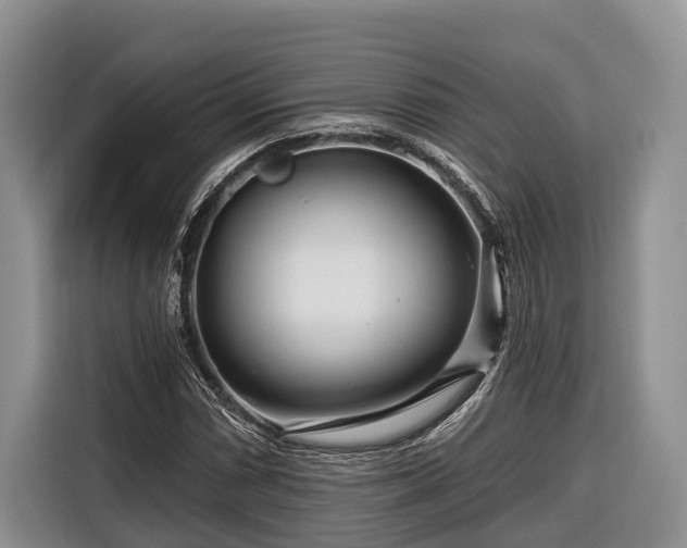 X0000116671066200912211559