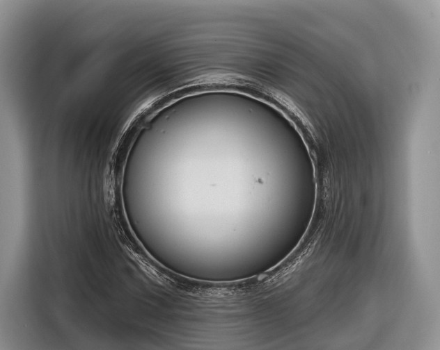 X0000116671067200912211559