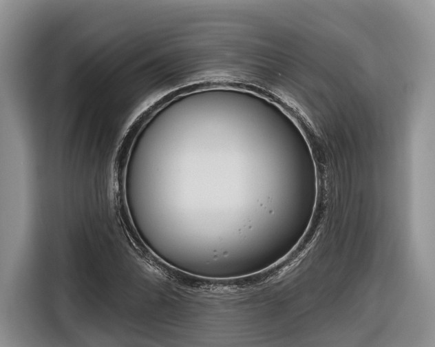 X0000116671070200912211559