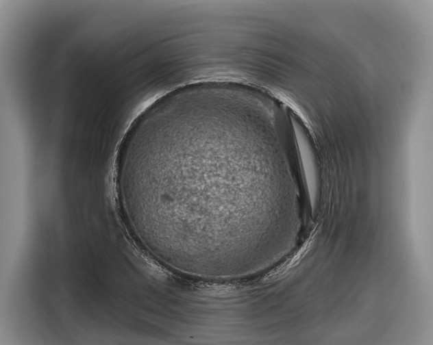 X0000116671071200912211559