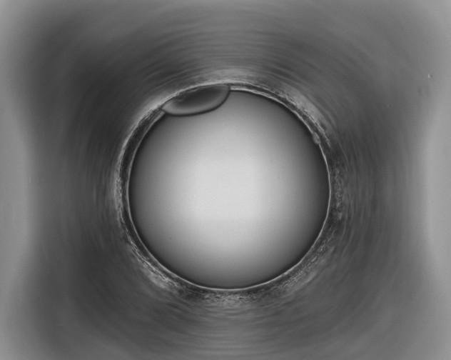 X0000116671072200912211559