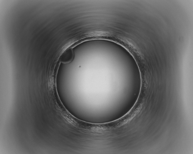 X0000116671073200912211559