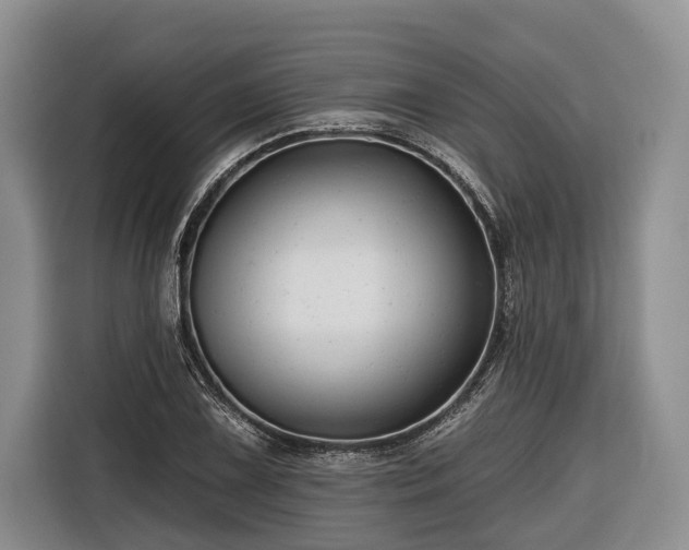 X0000116671075200912211559