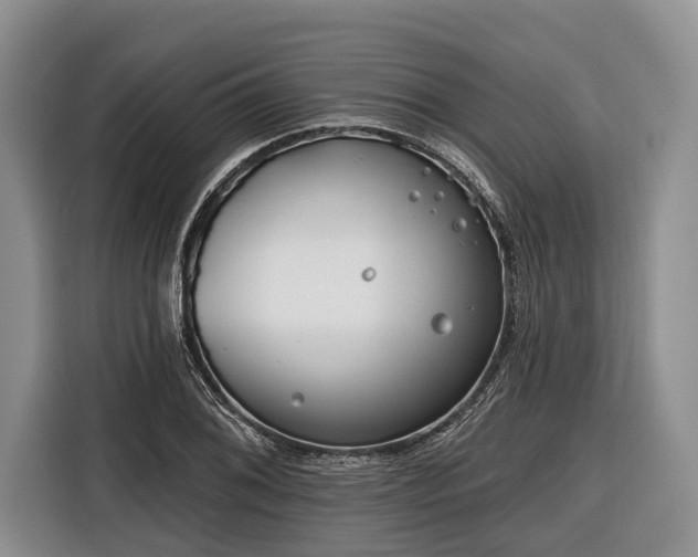 X0000116671076200912211559