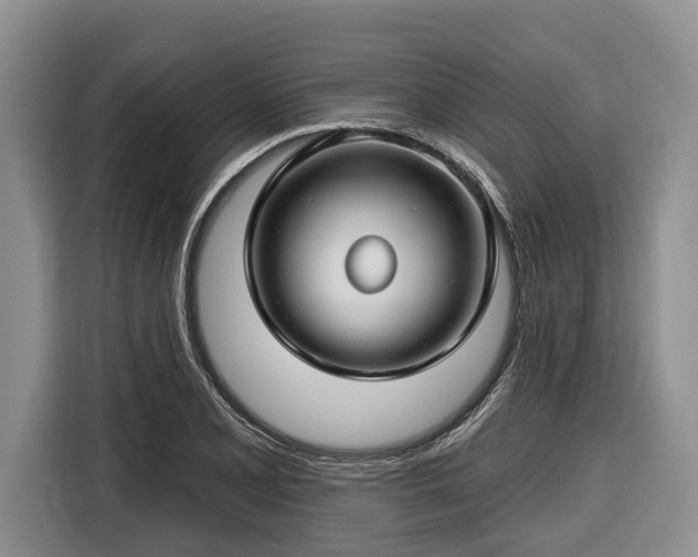 X0000116671077200912211559