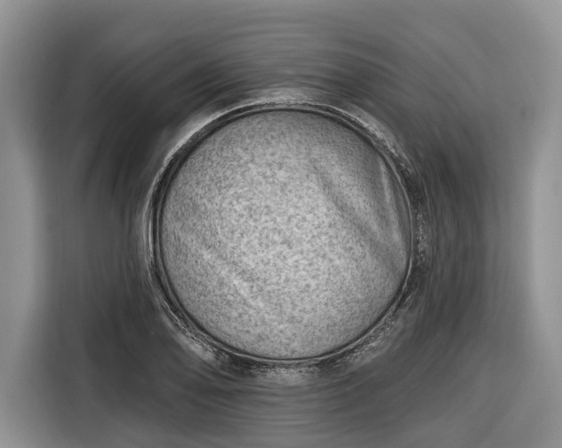 X0000116671078200912211559