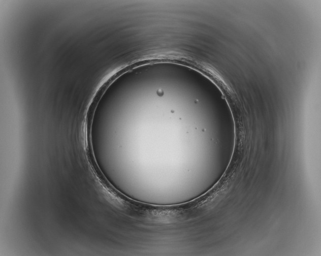 X0000116671079200912211559