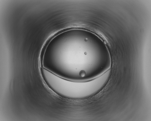 X0000116671080200912211559