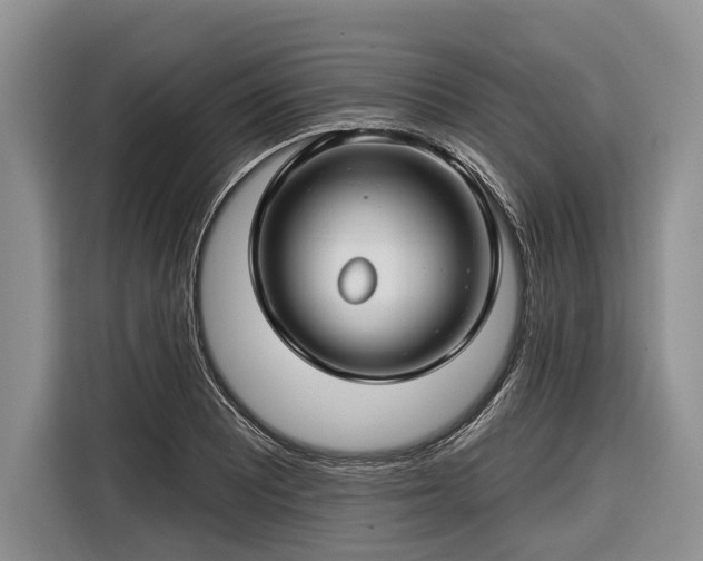 X0000116671081200912211559