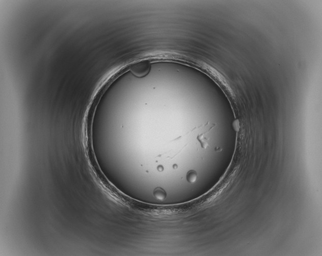 X0000116671082200912211559