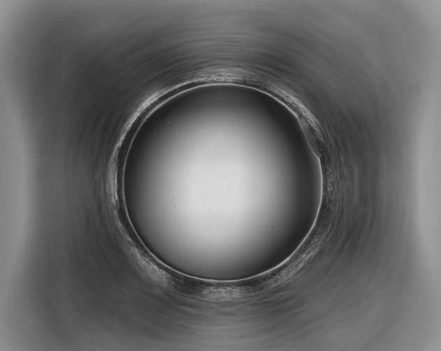 X0000116671083200912211559