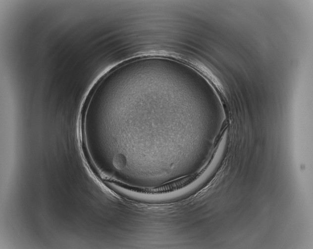 X0000116671084200912211559