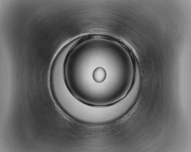 X0000116671085200912211559