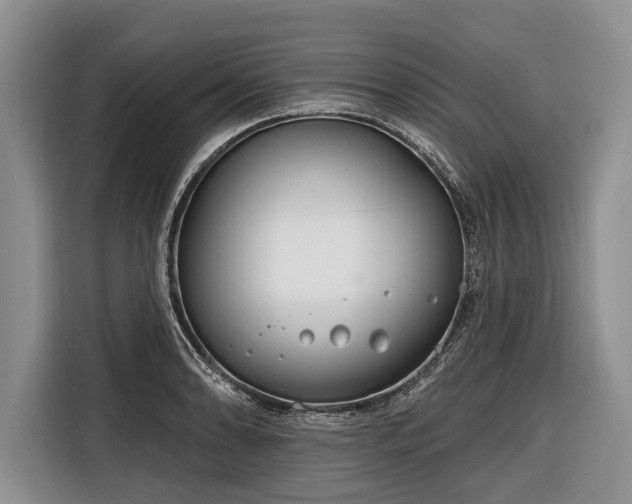 X0000116671086200912211559