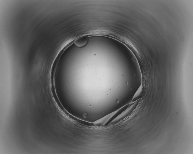 X0000116671087200912211559