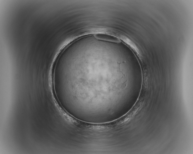 X0000116671088200912211559