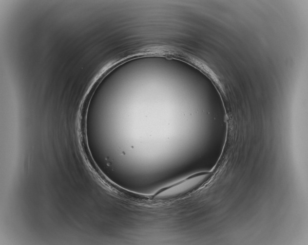 X0000116671091200912211559