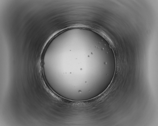 X0000116671092200912211559