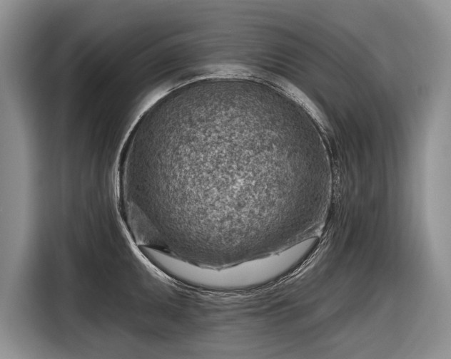 X0000116671095200912211559