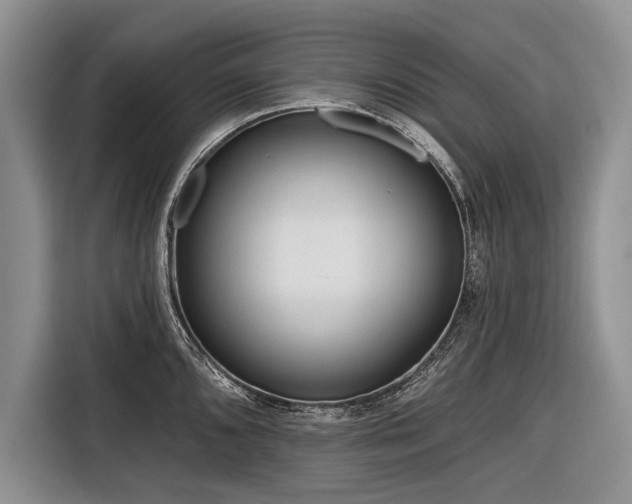 X0000116671096200912211559