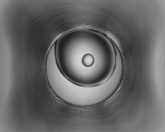 X0000116671097200912211559